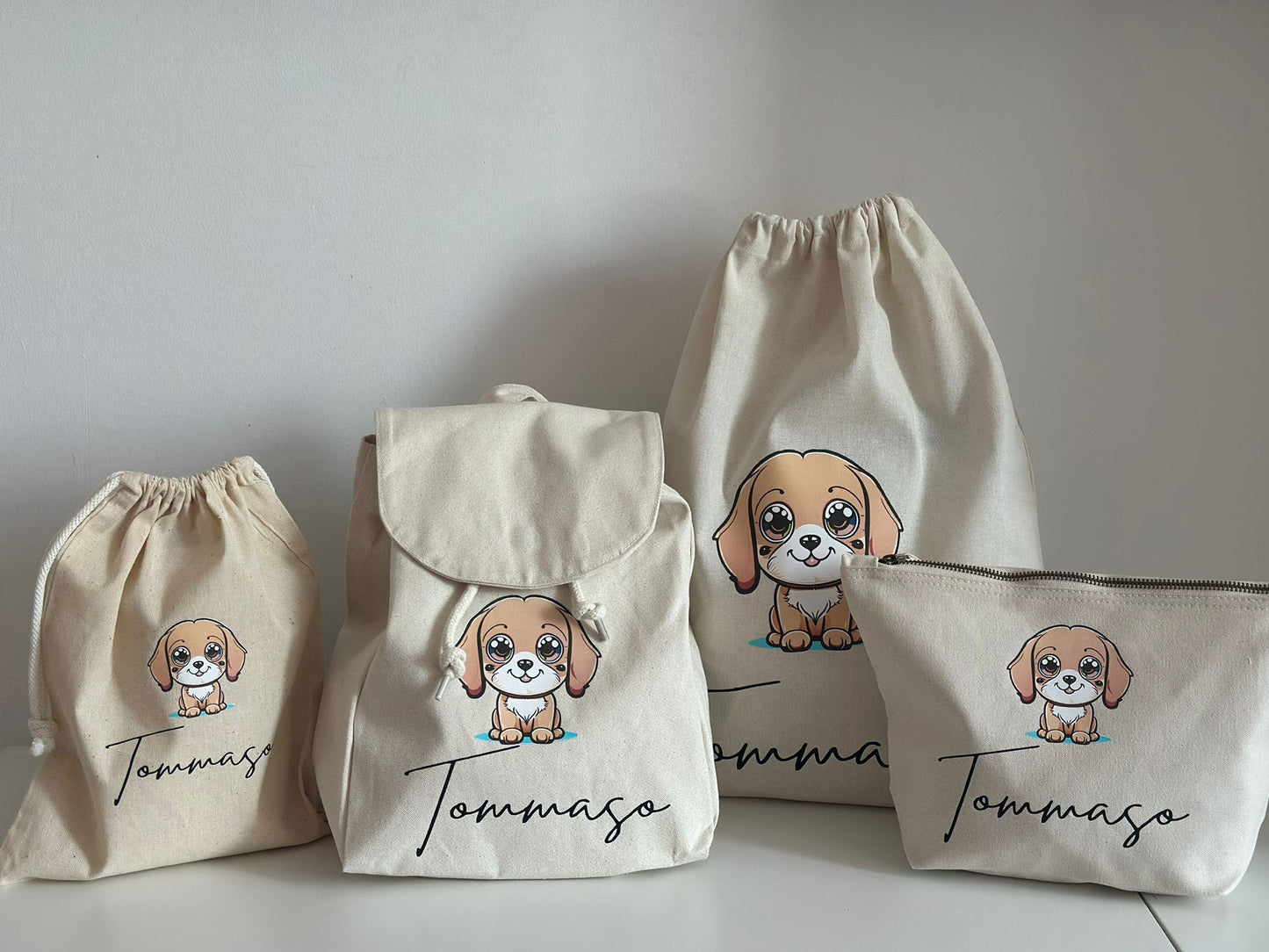 Set asilo completo